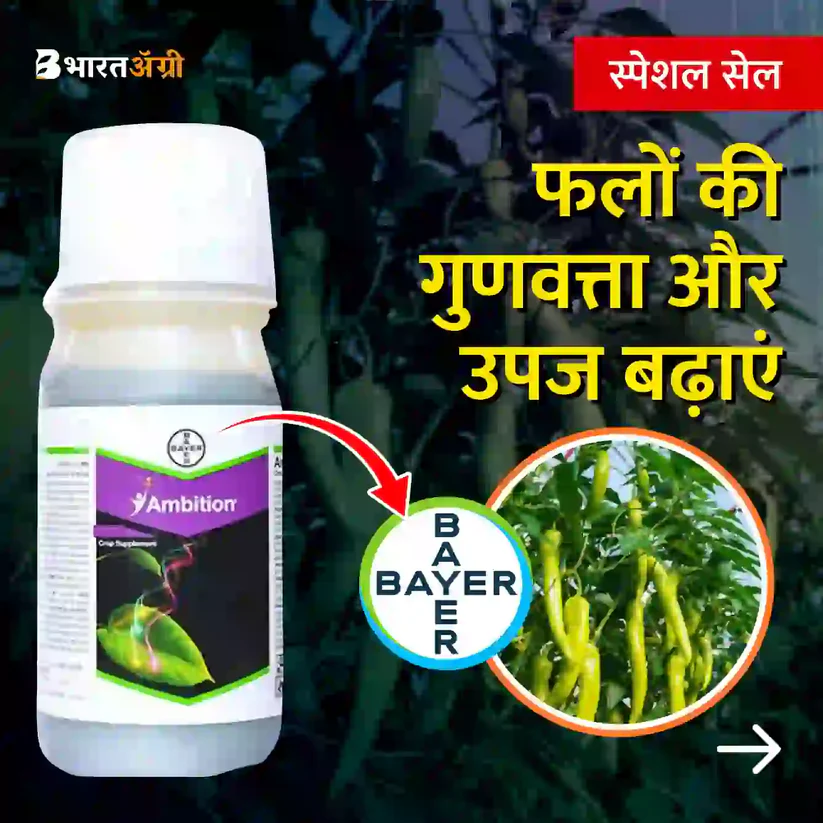 Bayer Ambition Plant Growth Promoter