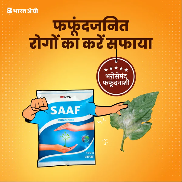Saaf_1